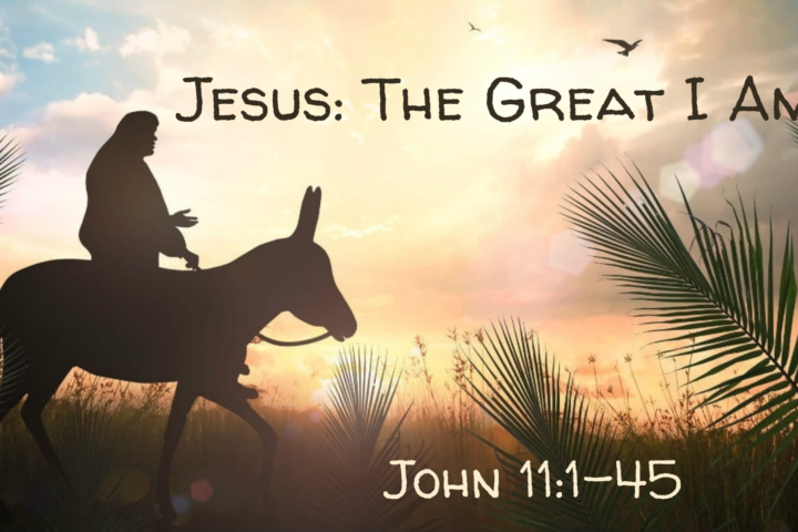 Jesus: The Great I Am