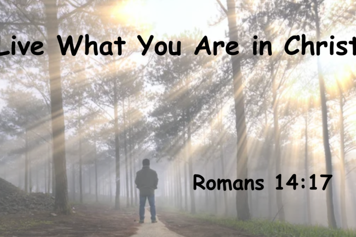 Live What You Are in Christ