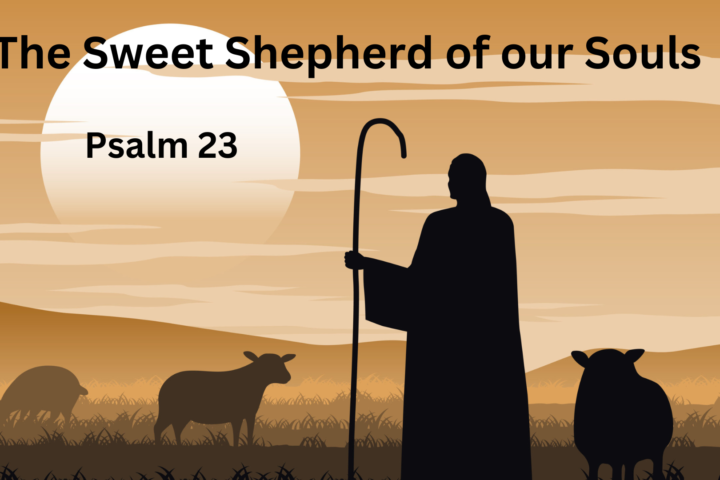 The Sweet Shepherd of Our Souls