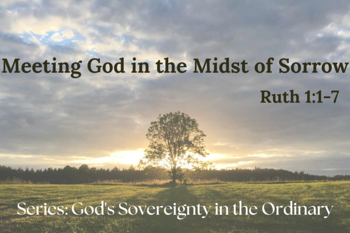 Meeting God in the Midst of Sorrow