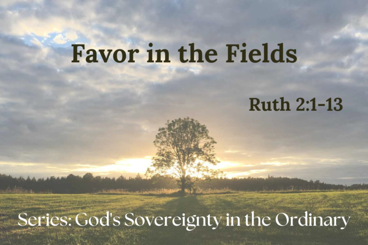 Favor in the Fields