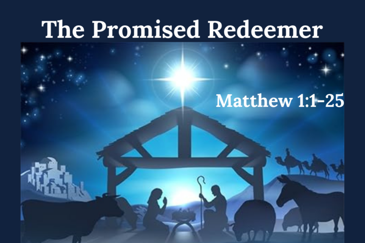 The Promised Redeemer