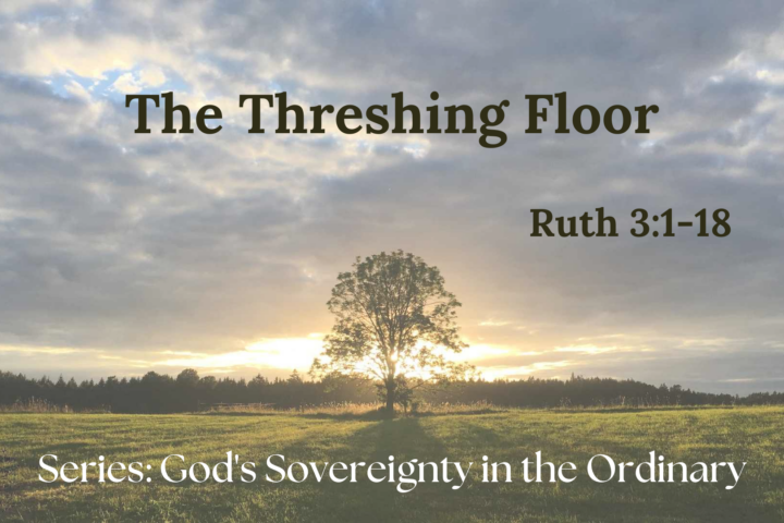 The Threshing Floor