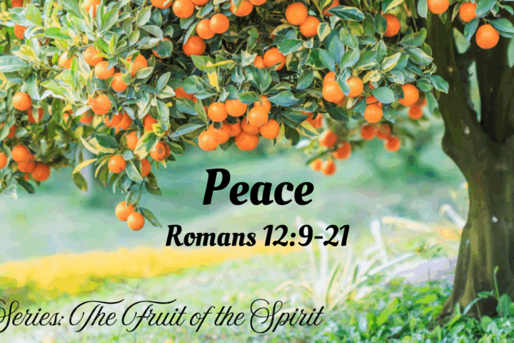 Peace