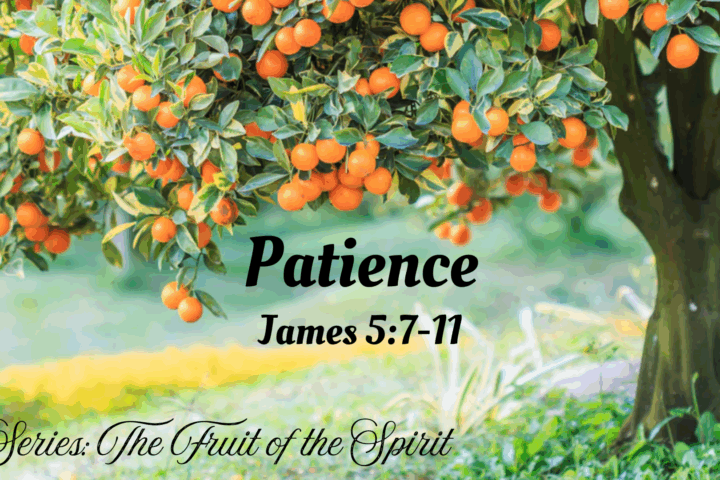 Patience