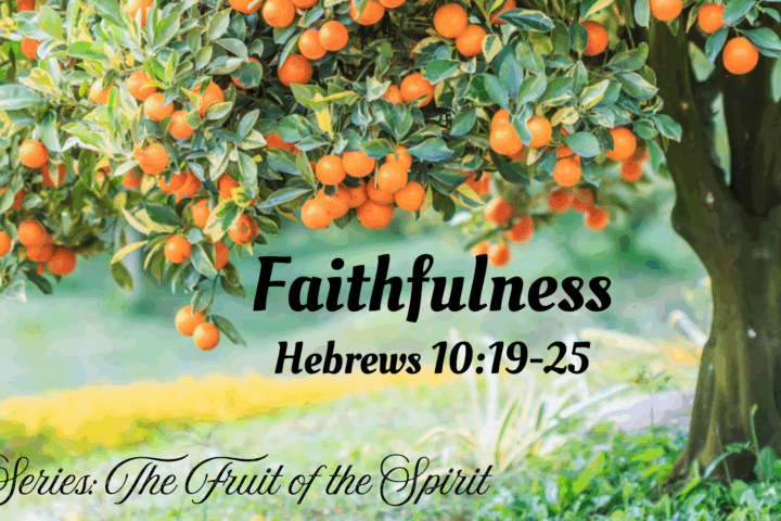 Faithfulness