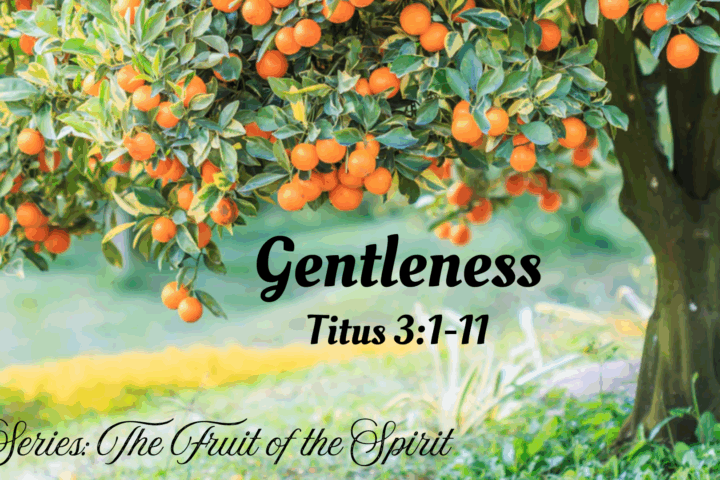 Gentleness