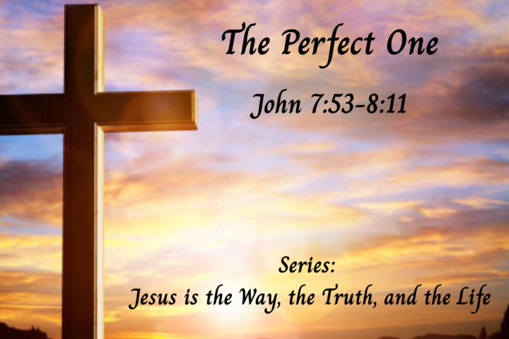 The Perfect One