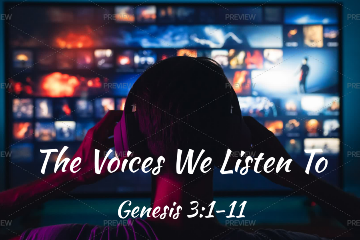 The Voices We Listen To